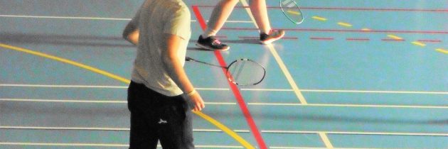 Championnat départemental de badminton adapté à Altkirch.